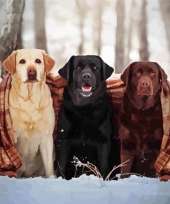 Golden Retrievers In Snow Paint By Number