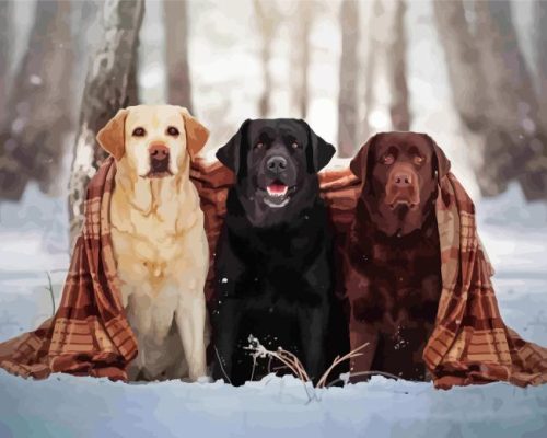 Golden Retrievers In Snow Paint By Number
