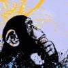 Monkey Banksy Art Paint By Number