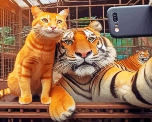 Tiger And Cat Selfie Paint By Number