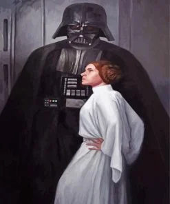 Darth Vader And Princess Leia Paint By Number