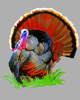 Wild Turkey Art Paint By Number