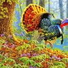 Wild Turkey Paint By Number