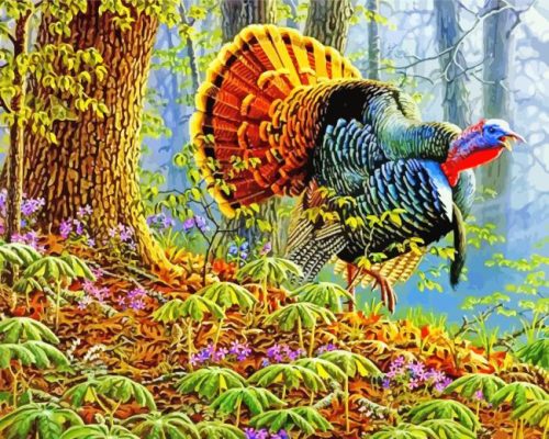 Wild Turkey Paint By Number
