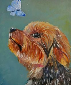 Yorkshire Terrier With Butterfly Paint By Number