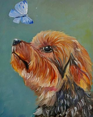 Yorkshire Terrier With Butterfly Paint By Number