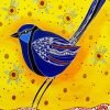Aboriginal Blue Wren Paint By Number