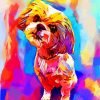 Abstract Colorful Shih Tzu Paint By Number