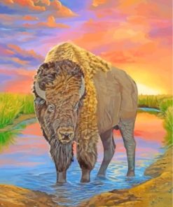 American Bison Paint By Numbers