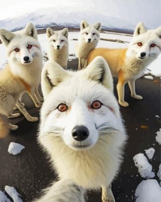 Arctic Foxes Selfie Paint By Number