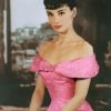 Audrey Hepburn Pink Dress Paint By Numbers