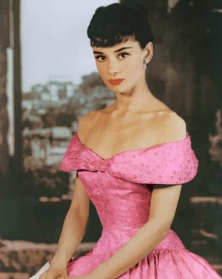 Audrey Hepburn Pink Dress Paint By Numbers
