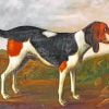 Beagle Dog Art Paint By Number
