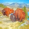 Bisons Grazing Paint By Numbers