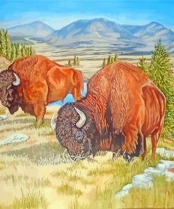 Bisons Grazing Paint By Numbers