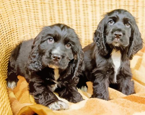 Black Cocker Spaniel Puppies Paint By Numbers