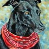 Black Greyhound Dog Paint By Number