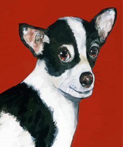 Black White Chihuahua Paint By Number