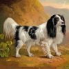 Black And White Spaniel Vintage Paint By Number