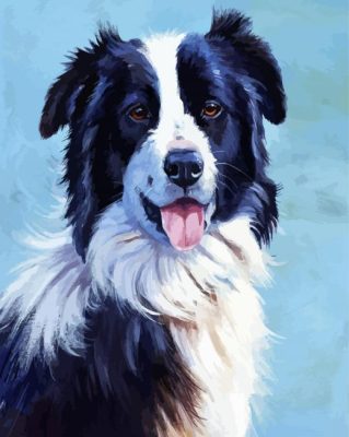 Border Collie Dogs Paint By Number