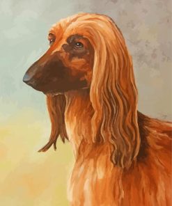 Brown Afghan Hound Paint By Number