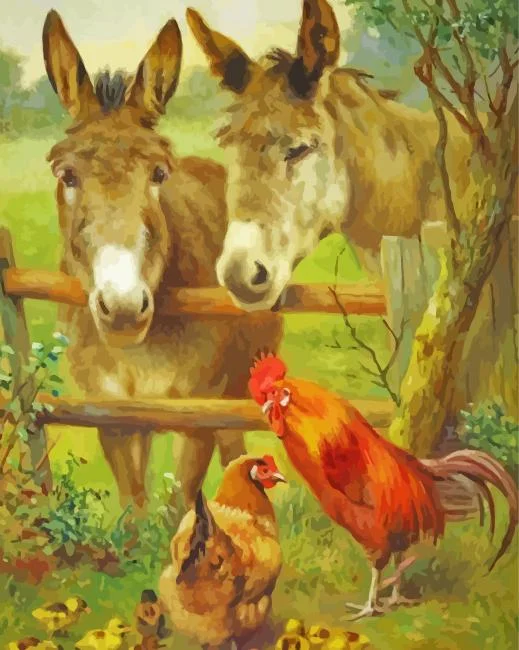 Chicken And Donkeys Paint By Numbers Chicken And Donkeys Paint By Number