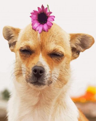 Chihuahua With Flower Paint By Number