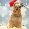 Christmas Schnauzer Paint By Number