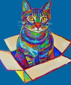 Colorful Cat In A Box Paint By Number