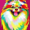 Colorful Pomeranian Paint By Number