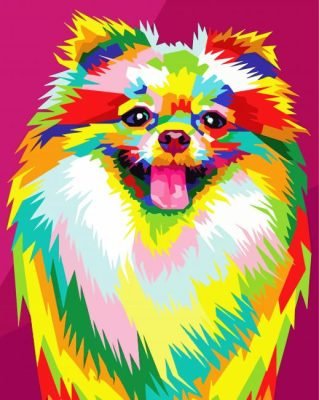 Colorful Pomeranian Paint By Number