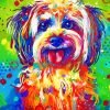 Colorful Shih Tzu Dog Art Paint By Number
