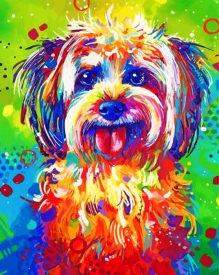 Colorful Shih Tzu Dog Art Paint By Number