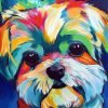 Colorful Shih Tzu Dog Paint By Number
