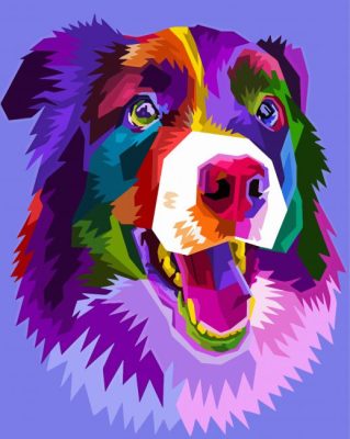 Colorful Border Collie Paint By Numbers - Numeral Paint Kit