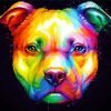 Colorful Pitbull Head paint by numbers