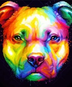 Colorful Pitbull Head paint by numbers