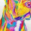 Colorful Staffy Dog Paint By Number