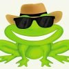 Cool Frog With Sunglasses Paint By Numbers