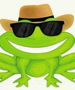 Cool Frog With Sunglasses Paint By Numbers