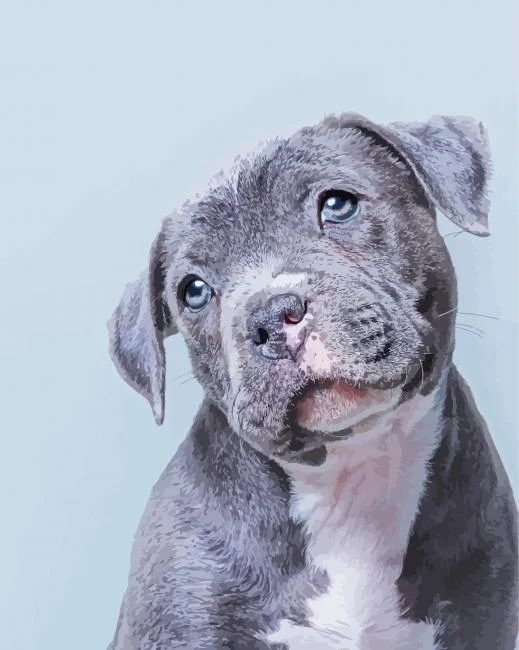 Cute Blue Staffy Paint By Numbers Cute Blue Staffy Paint By Number