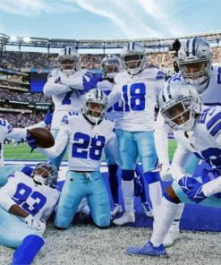 Dallas Cowboys Paint By Number