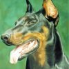 Doberman Dog Head Paint By Number