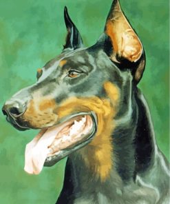 Doberman Dog Head Paint By Number