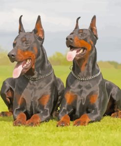 Doberman Dogs Paint By Number