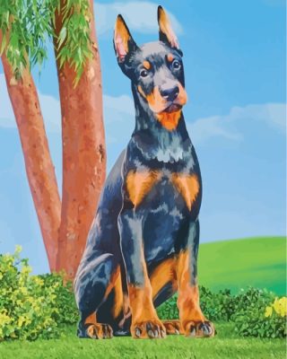 Doberman Dog Art Paint By Number