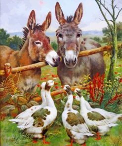 Donkeys And Geese In Farm Paint By Number
