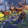 Elk Herd Wildlife Paint By Number
