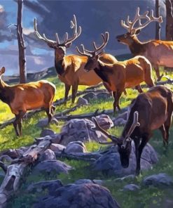 Elk Herd Wildlife Paint By Number