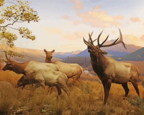 Elks Animals Paint By Number